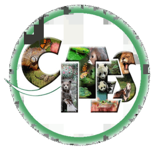 1933 Convención para la Protección de la Flora y la Fauna.