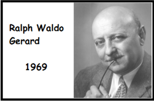 Gerard "unidades curriculares"