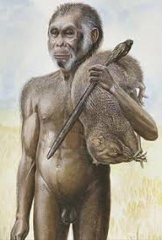 SURGIMIENTO DE LOS HOMÍNIDOS