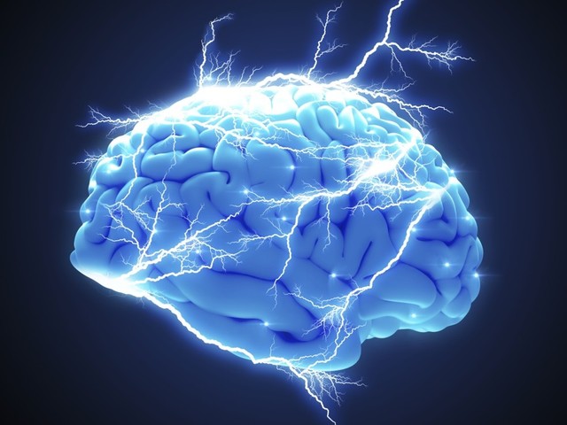 El surgimiento del primer cerebro.