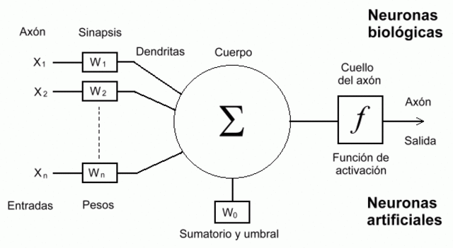 Primer trabajo de Inteligencia Artificial