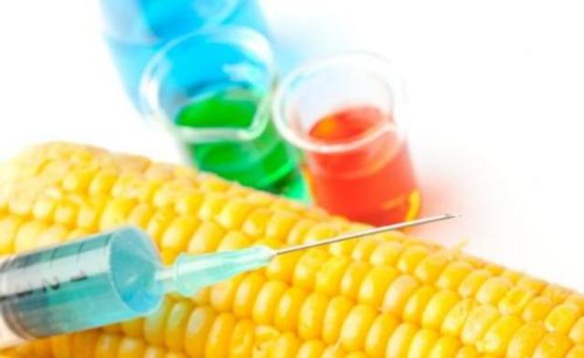 declaración latinoamericana sobre organismos transgénicos