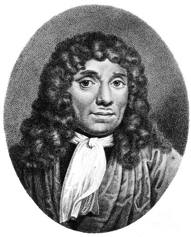Anton van Leeuwenhoek