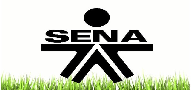 TÉCNICO PRIMERA INFANCIA