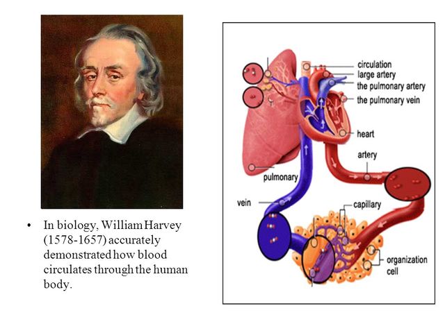 William Harvey (1578-1657)
