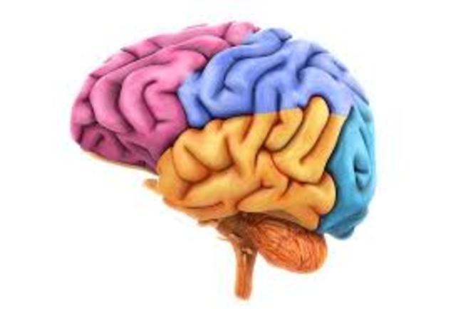 Innovación de sondas moleculares