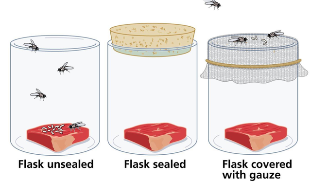 Fin de la controversia sobre la generación espontánea