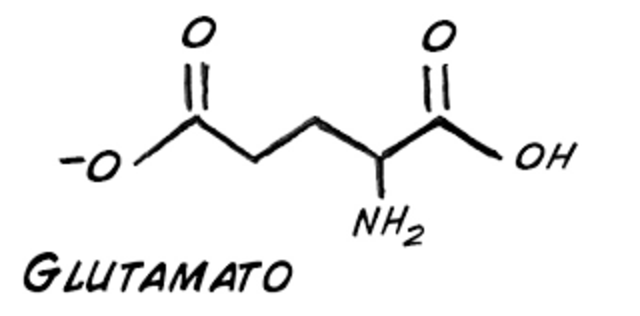 Glutamato