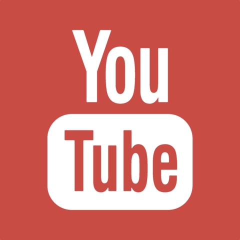 Nace YouTube