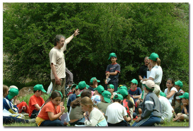 ESTUDIOS SATISFACTORIOS