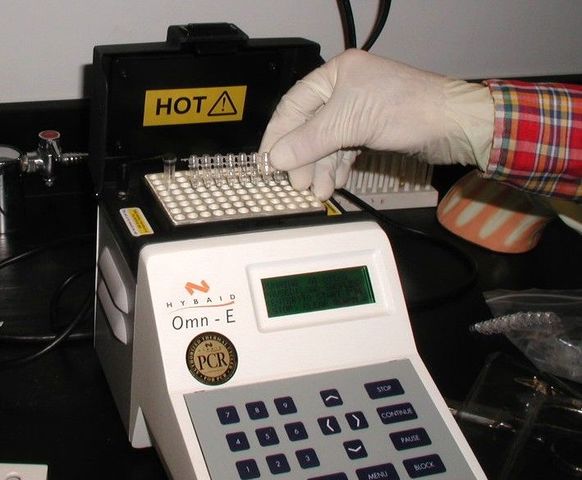 Descobriment del (PCR)