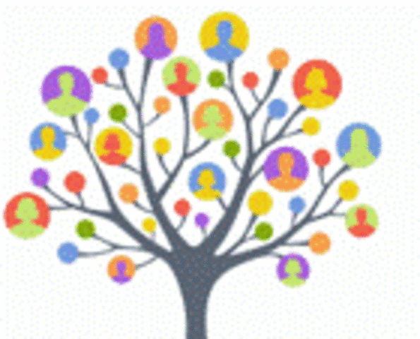 ¿Que es la sociología para Hebert Spencer?