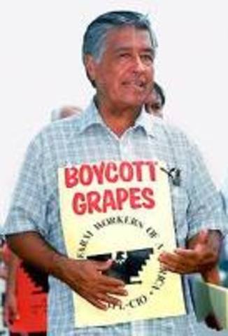 Grape Growers