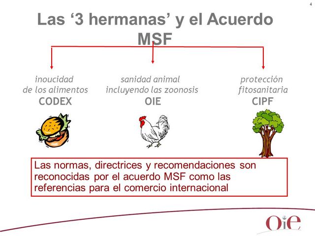 Acuerdo MSF