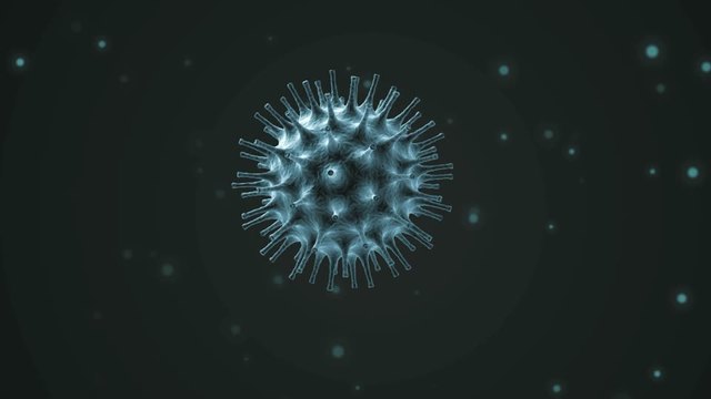 FAO - Virus del Sars