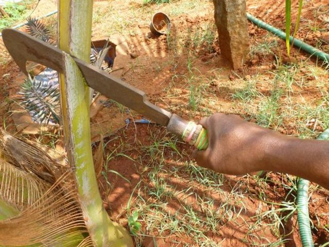 Ignorancia de conocimiento ambiental