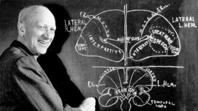 WILDER PENDFIELD 1891 - 1976