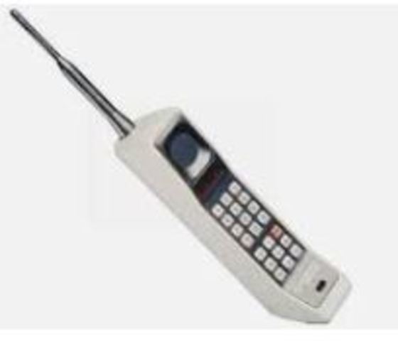 1979 por:Ma. Fernanda G. Alcantara Hdz