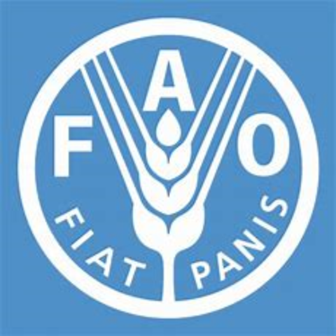 Se crea la Food and Agriculture Organization FAO en Québec.