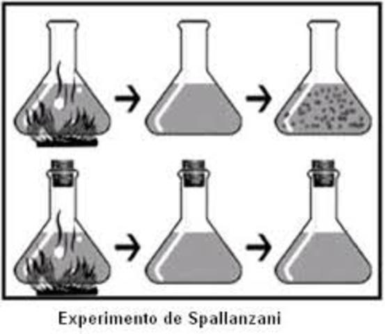 SPALLANZANI G. ESPONTÀNIA