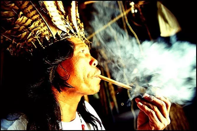 "Descobrimento do Brasil"