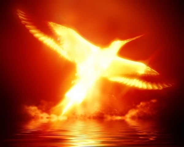 A NPV tudományának újjászületése