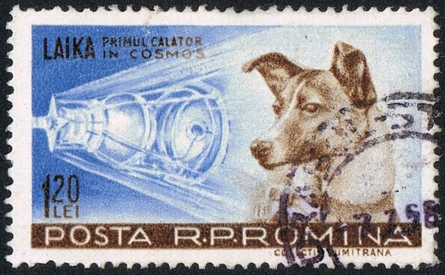 Laika - Sputnik 2