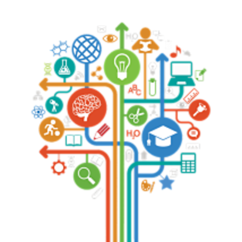 Replanteamiento de sus "Objetos de Conocimiento"