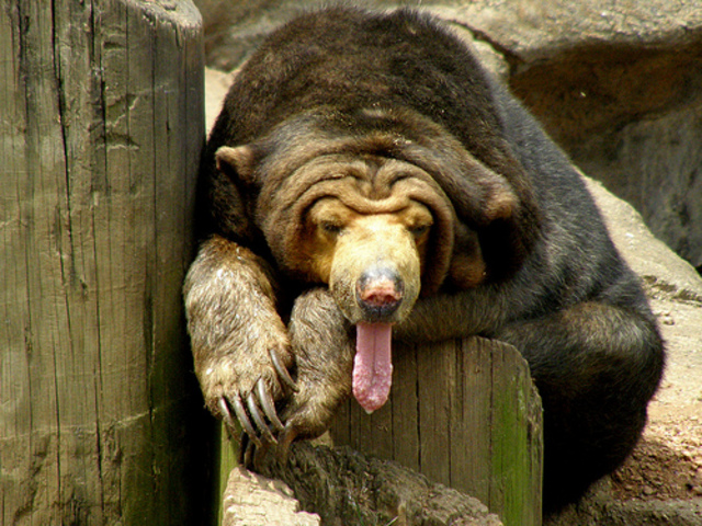 Moved to Lincoln Alabama