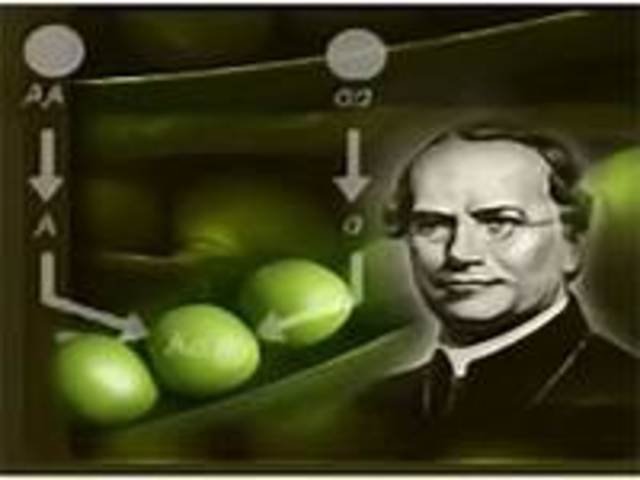 LEYES DE HERENCIA BIOLÓGICA.