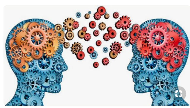 OBJETO DE CONOCIMIENTO - MERRIL