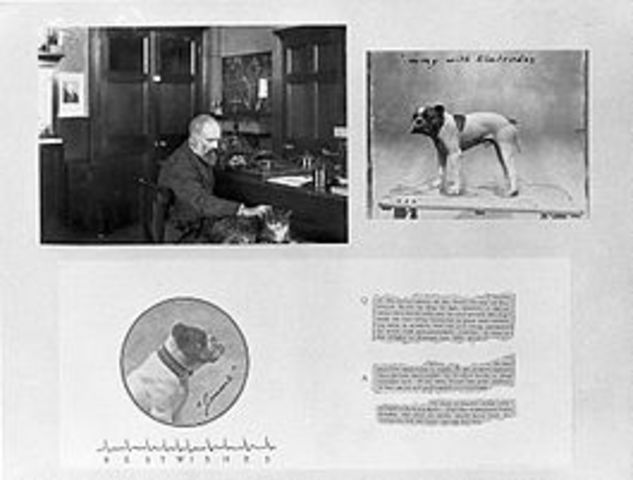 Aplicación en corazones humanos