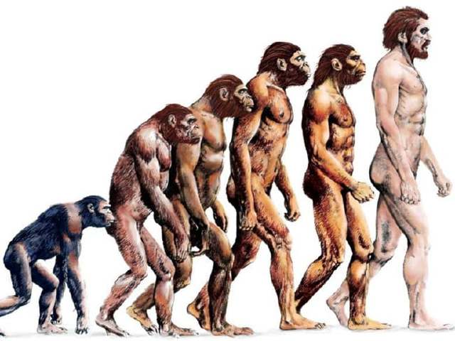 Prehistoria:De primates a homosapiens