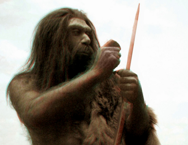 Neanderthal (cont.)