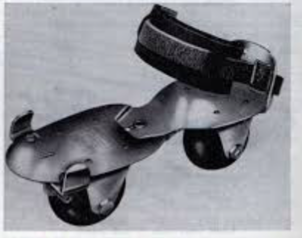 transportation in 1980