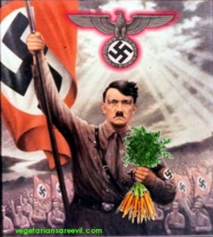 Hitler Takes Power