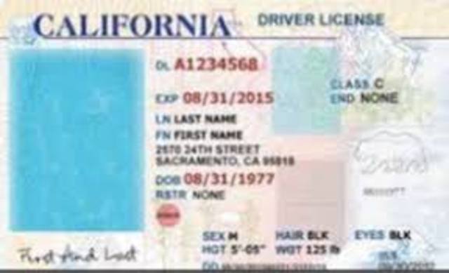 The first comprehensive driver license examination program was developed.