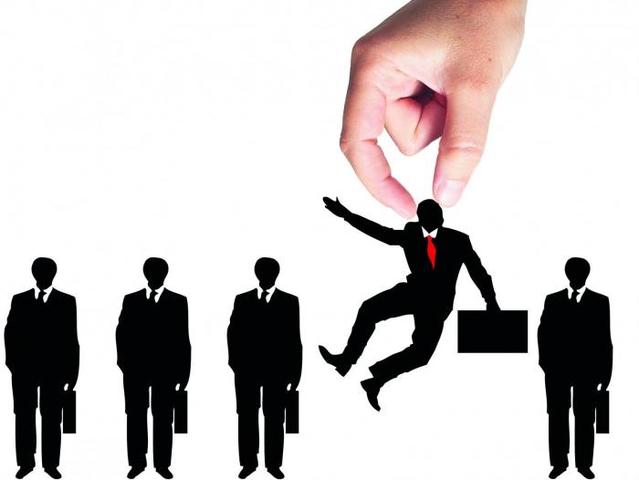 Proceso de Selección