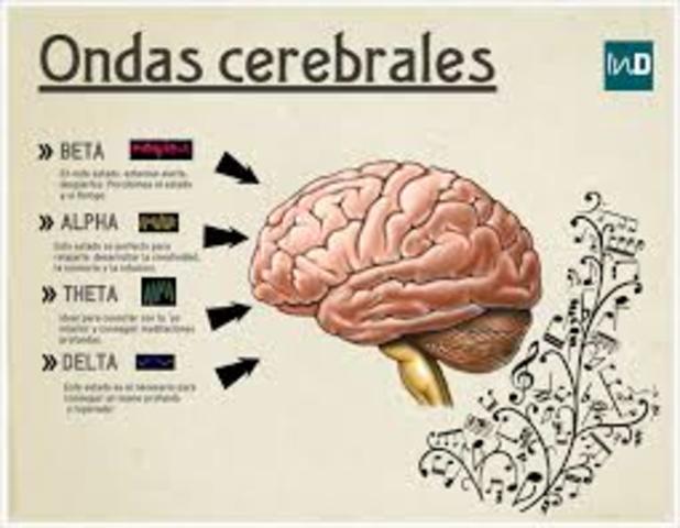 Ondas Cerebrales.
