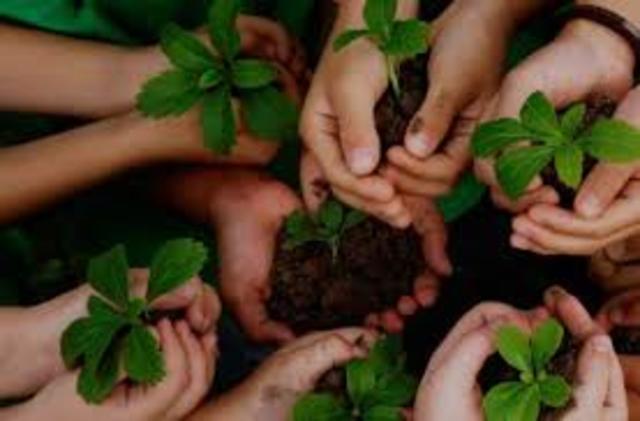 Educación Ambiental a nivel Nacional