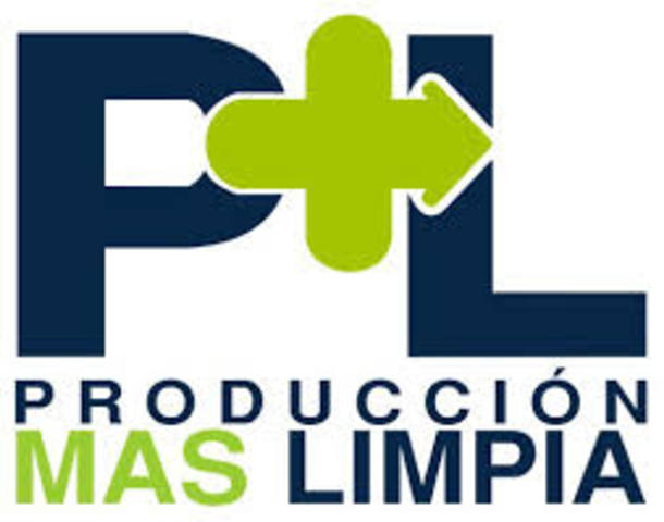 La Produccion Mas Limpia (PML)