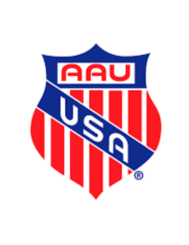 National Associations of Amateur Athletics of America is Founded