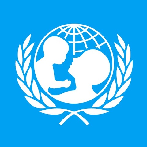 Nemzetközi szervezetek bekapcsolódása