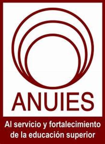 SE FUNDA ASOCIACIÓN.