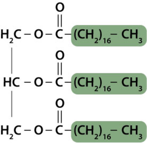 Triestearina Berthelot