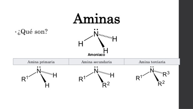 Descubrimiento de las aminas.