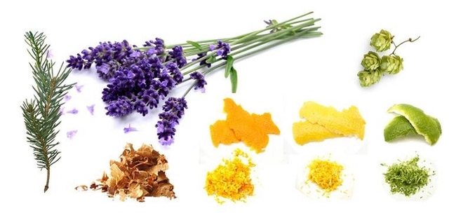 Estructura de los terpenos