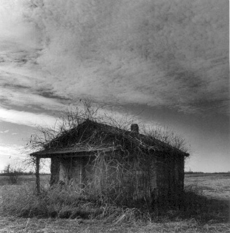 Represión y Persecución