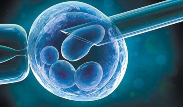 PAUL BERG Y HERBERT BOYER