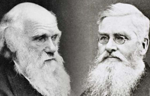 First Evolutionary Papers Published